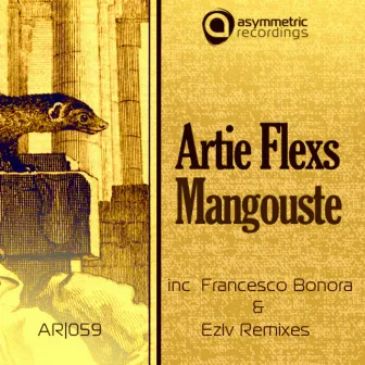 Mangouste by Artie Flexs