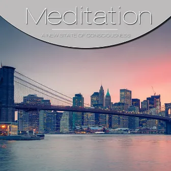 Meditation, Vol. Grey, Vol. 2 by Meditation String