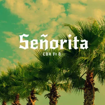 Señorita by CBK