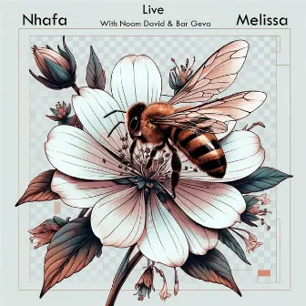 Melissa (Live) by Noam David