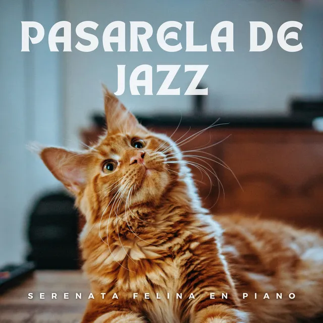 Pasarela De Jazz: Serenata Felina En Piano