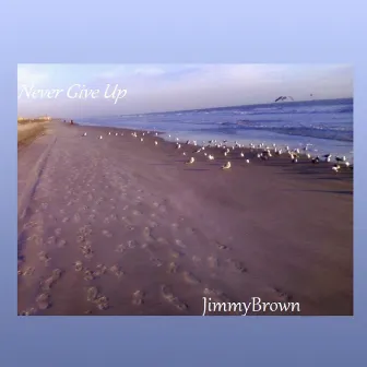 Never Give Up by Jimmy Brown