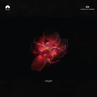 Fragile by Peak Twilight