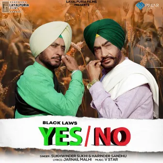 Black Laws Yes No by Sukhwinder Sukhi