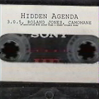 HIDDEN AGENDA by camo mane