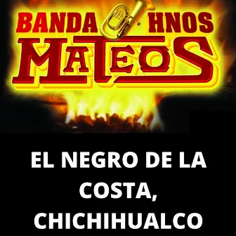 El negro de la Costa, Chichihualco (En Vivo) by Banda Hermanos Mateos