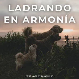 Ladrando En Armonía: Serenatas Tranquilas by Unknown Artist