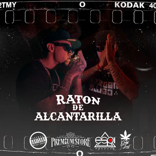 Raton de Alcantarilla