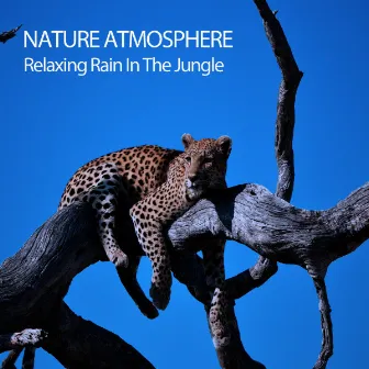 Nature Atmosphere: Relaxing Rain In The Jungle by Studying Music for Concentration