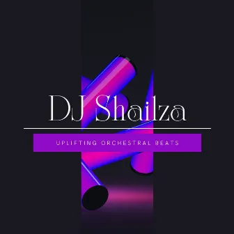 Uplifting Orchestral Beats by DJ Shailza