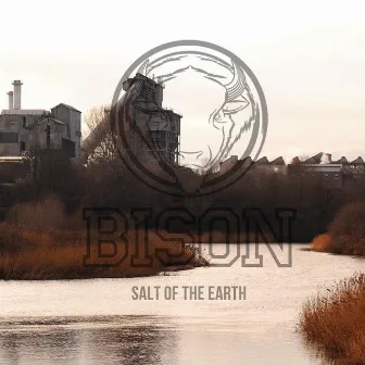 Salt of the Earth by Bison