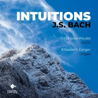 Intuitions by Elisabeth Geiger