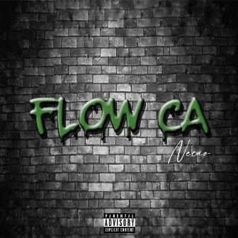 Flow C. A. by NECÃO