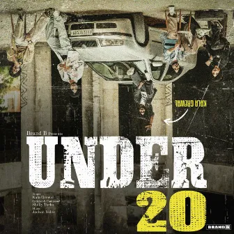 Under 20 by Shelly Turka