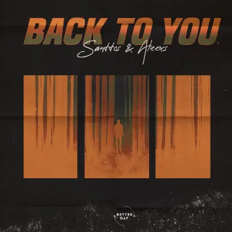 Back to You by Santtos