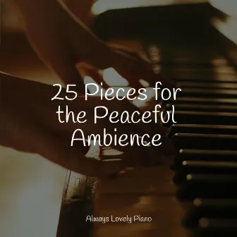 25 Pieces for the Peaceful Ambience by Los Pianos Barrocos