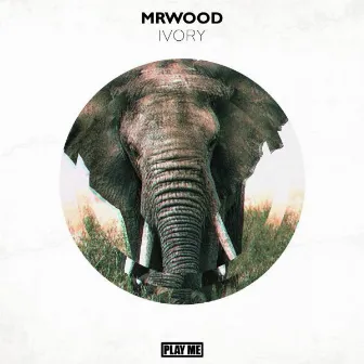 Ivory by Mr.Wood$