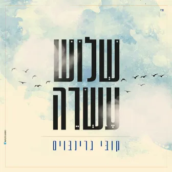 שלוש עשרה by קובי גרינבוים