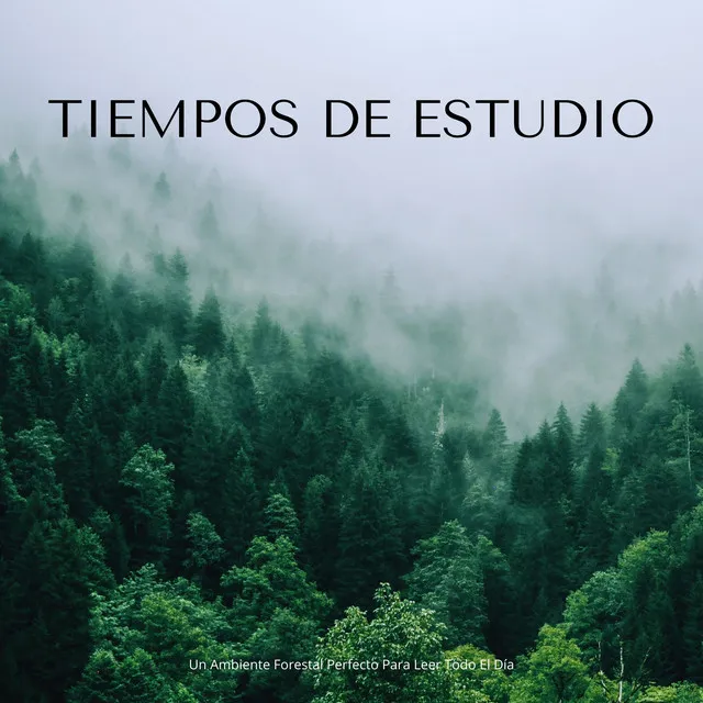 Tiempos De Estudio: Un Ambiente Forestal Perfecto Para Leer Todo El Día