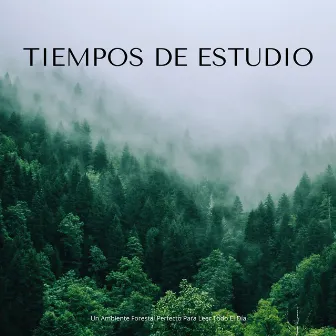 Tiempos De Estudio: Un Ambiente Forestal Perfecto Para Leer Todo El Día by Relajante Estudiar Musica Retro