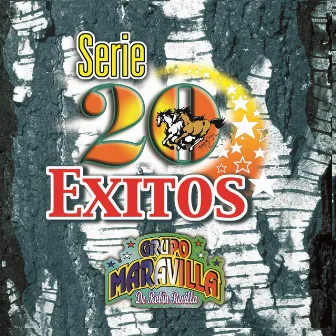 Serie 20 Exitos by Grupo Maravilla