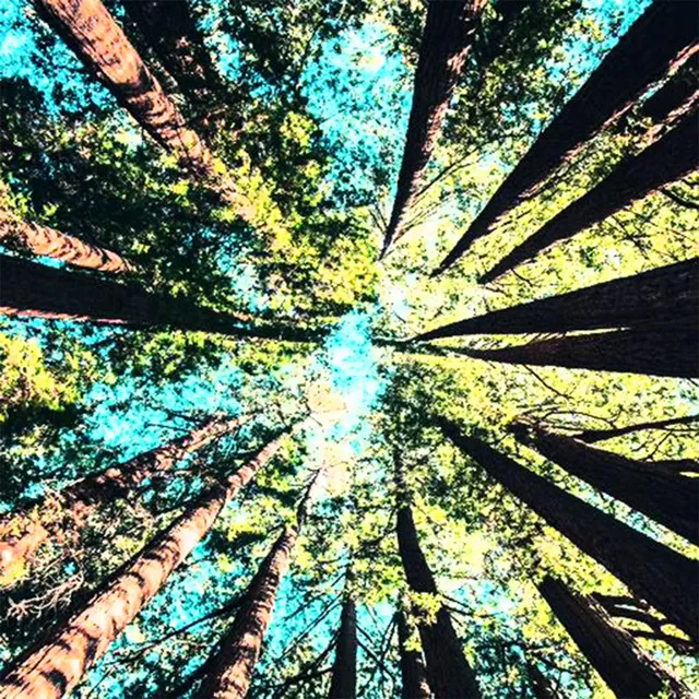 Crown Shyness