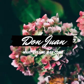 What Dreams May Come by Don Juan