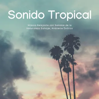 Sonido Tropical: Música Relajante con Sonidos de la Naturaleza Salvaje, Ambiente Exótico by Paula con Aroma