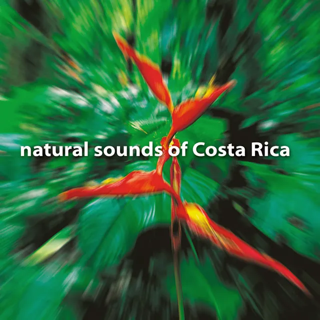 Natural Sounds of Costa Rica