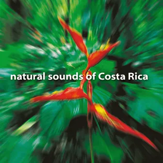 Natural Sounds of Costa Rica by Andrew Roth