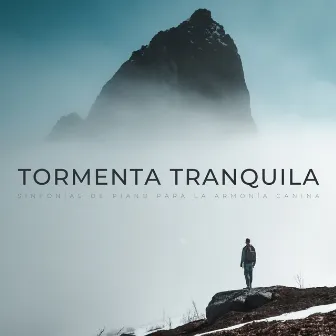 Tormenta Tranquila: Sinfonías De Piano Para La Armonía Canina by Tormentas bálticas