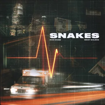 Snakes by Mikey Balboa