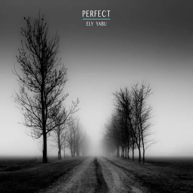 Perfect (Extended Mix)