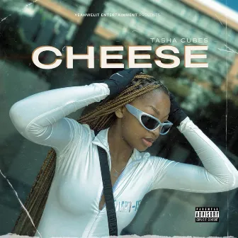 Cheese by Tasha Cubes