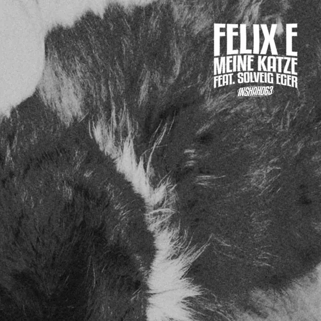 Meine Katze - Mister Sweatband Remix