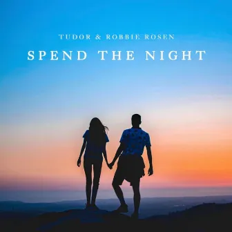 Spend The Night by TUDOR