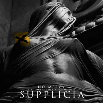 SUPPLICIA by Mesotec