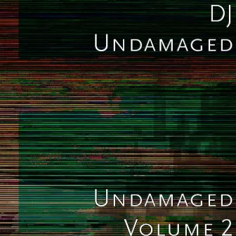 Undamaged Volume 2 by DJ Undamaged