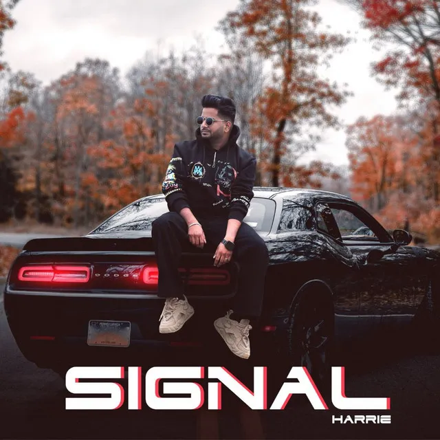 Signal