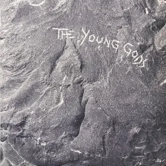 The Young Gods (Deluxe Edition) by The Young Gods