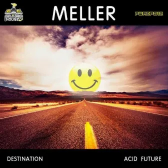 Destination Acid Future by Meller