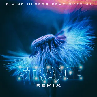 Strange (Remix) by Eivind Husebø