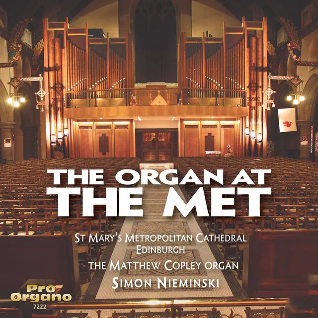 Organ Sonata in D Minor, Op. 1: II. Andante