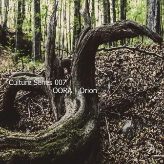 Culture Series 007 by Oora