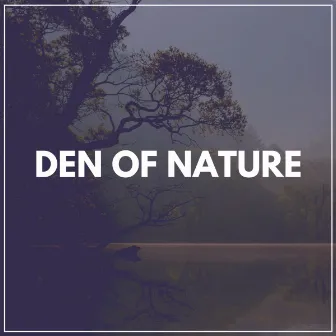 Den of Nature by Nature Calm