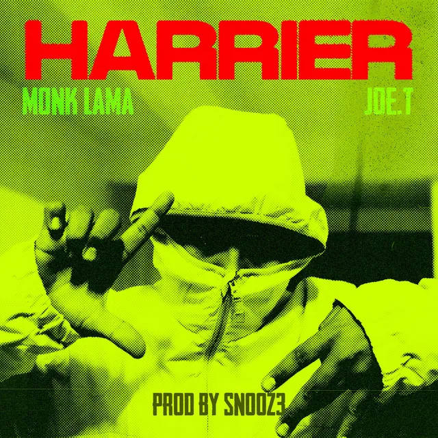 Harrier