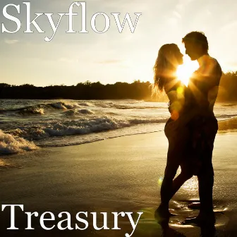 Treasury by Skyflow