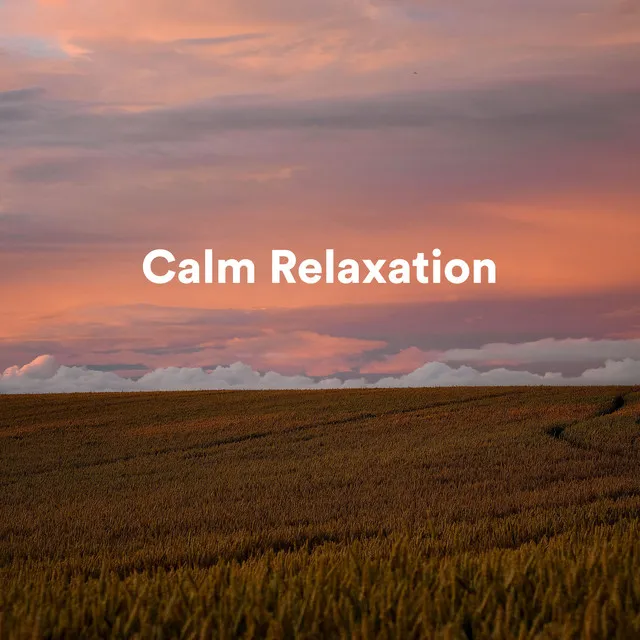 Calm Relaxation