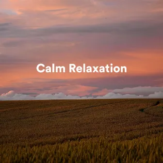 Calm Relaxation by Calm Relaxation