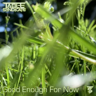 Good Enough for Now by Table Syndicate